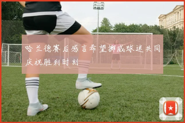 哈兰德赛后感言希望挪威球迷共同庆祝胜利时刻
