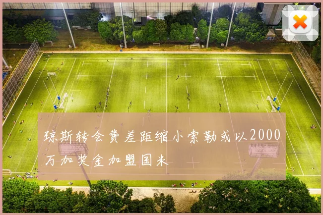 琼斯转会费差距缩小索勒或以2000万加奖金加盟国米